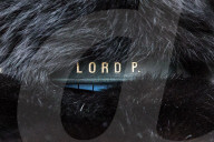 NEWS - Downing Street: Kater Palmerston kriegt ein 'Lord P' Halsband