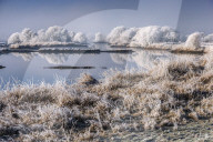 FEATURE - Winterlandschaft am Elbufer bei Hamburg