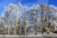 FEATURE - Winterlandschaft am Elbufer bei Hamburg