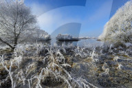 FEATURE - Winterlandschaft am Elbufer bei Hamburg