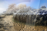 FEATURE - Winterlandschaft am Elbufer bei Hamburg