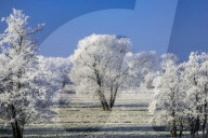 FEATURE - Winterlandschaft am Elbufer bei Hamburg