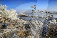 FEATURE - Winterlandschaft am Elbufer bei Hamburg