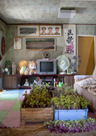 FEATURE - Airbnb in Nordkorea