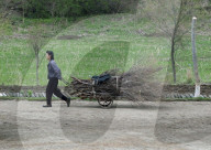 FEATURE - Airbnb in Nordkorea