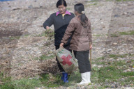 FEATURE - Airbnb in Nordkorea