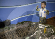 FEATURE - Ausgefallene Bilder: Mensch und Tier