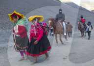 FEATURE - Ausgefallene Bilder: Mensch und Tier