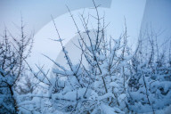 NEWS - North Dakota: Protestcamp gegen die Pipeline 