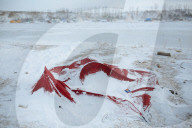 NEWS - North Dakota: Protestcamp gegen die Pipeline 