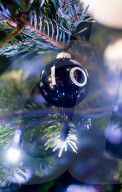 NEWS - London: Theresa May erleuchtet den Christbaum vor Downing Street 10
