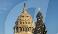 FEATURE - Weihnachtsbaum vor dem Capitol