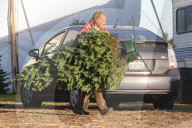PEOPLE - Elsa Pataky kauft einen Weihnachtsbaum
