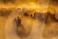 FEATURE - Pferdeherde im Nebel