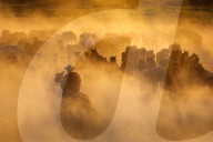FEATURE - Pferdeherde im Nebel
