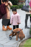 FEATURE - Hund mit Rollbeinen