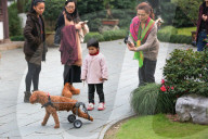 FEATURE - Hund mit Rollbeinen