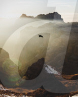 FEATURE - Vogelbeobachtung in den Dolomiten