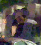 EXKLUSIV - Wilde Knutscherei: Frisch getrennter Tobey Maguire genisst sein Single-Leben