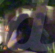 EXKLUSIV - Wilde Knutscherei: Frisch getrennter Tobey Maguire genisst sein Single-Leben