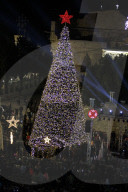 FEATURE - Oh Tannenbaum 