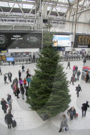 FEATURE - Oh Tannenbaum 