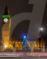 FEATURE - Oh Tannenbaum 