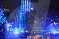 FEATURE - Oh Tannenbaum 