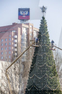 FEATURE - Oh Tannenbaum 