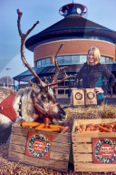 FEATURE - So kurios kann Weihnachten auch sein