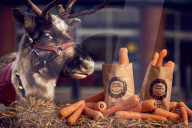 FEATURE - So kurios kann Weihnachten auch sein