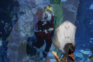 FEATURE - Weihnachten: Chlaus schwimmt im Aquarium in Seoul 