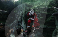 FEATURE - Weihnachten: Chlaus schwimmt im Aquarium in Seoul 