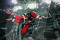 FEATURE - Weihnachten: Chlaus schwimmt im Aquarium in Seoul 