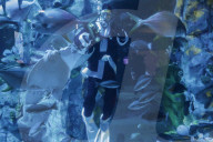 FEATURE - Weihnachten: Chlaus schwimmt im Aquarium in Seoul 