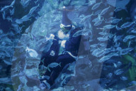 FEATURE - Weihnachten: Chlaus schwimmt im Aquarium in Seoul 