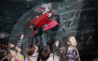 FEATURE - Weihnachten: Chlaus schwimmt im Aquarium in Seoul 
