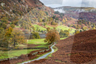 FEATURE - Grossbritannien: Landschaften im 'Northern Lake District'