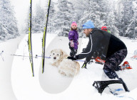 FEATURE - Strassenhund Arthur aus Ecuador macht mit seiner neuen Familie den ersten Winterurlaub 