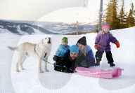 FEATURE - Strassenhund Arthur aus Ecuador macht mit seiner neuen Familie den ersten Winterurlaub 