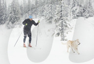 FEATURE - Strassenhund Arthur aus Ecuador macht mit seiner neuen Familie den ersten Winterurlaub 