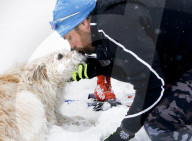 FEATURE - Strassenhund Arthur aus Ecuador macht mit seiner neuen Familie den ersten Winterurlaub 