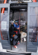 FEATURE - Strassenhund Arthur aus Ecuador macht mit seiner neuen Familie den ersten Winterurlaub 
