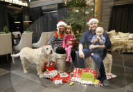 FEATURE - Strassenhund Arthur aus Ecuador macht mit seiner neuen Familie den ersten Winterurlaub 