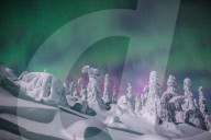 FEATURE - Winterlandschaft in Lappland