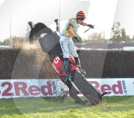 FEATURE - Hoppla: Hier stürzt der Reiter samt Pferd