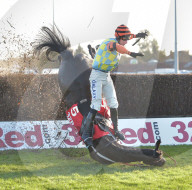 FEATURE - Hoppla: Hier stürzt der Reiter samt Pferd