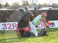 FEATURE - Hoppla: Hier stürzt der Reiter samt Pferd