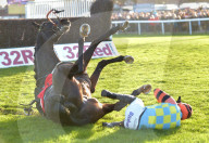 FEATURE - Hoppla: Hier stürzt der Reiter samt Pferd