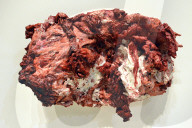 FEATURE - Anish Kapoor "fleischige" Ausstellung in Rom